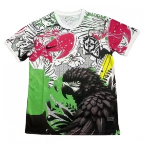 Brasilien x Parrot 2025 - Fodboldtrøjer Speciel (S/S)