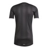 Aston Villa Målmand 2025-26 Sort - Fodboldtrøjer (S/S)