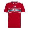 Wales Hjemme VM 2026 - Fodboldtrøjer (S/S)