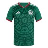 Mexico Hjemme VM 2026 - Fodboldtrøjer (S/S)