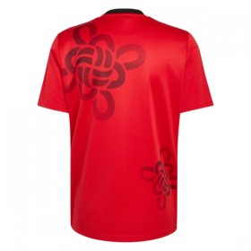 Manchester United Cultural Story 2025-26 - Fodboldtrøjer Speciel (S/S)