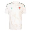 Wales Udebane VM 2026 - Fodboldtrøjer (S/S)